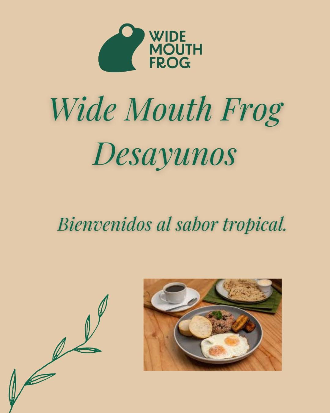 Wide Mouth Frog Quepos Pansiyon Manuel Antonio Dış mekan fotoğraf